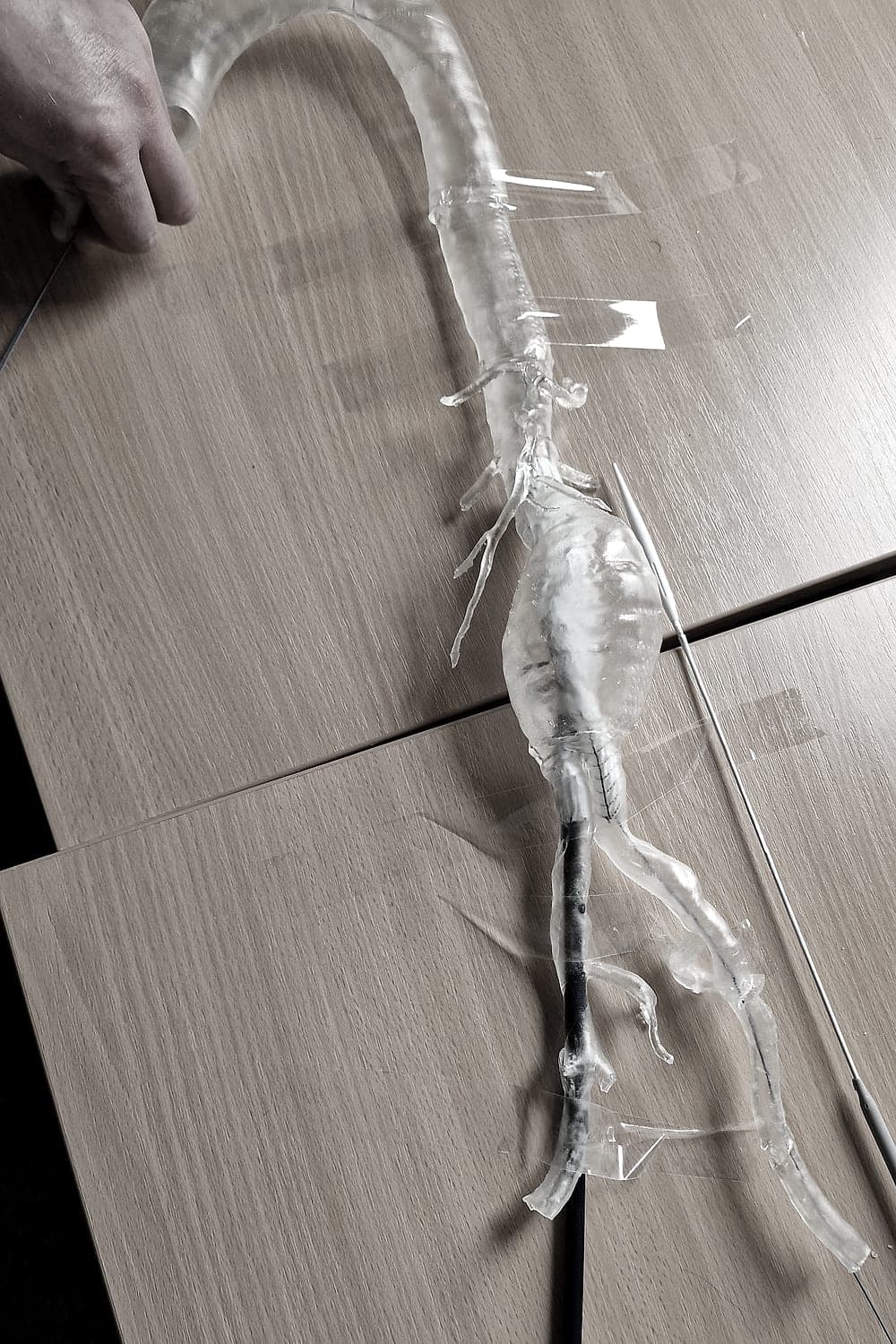 Aortic model laid flat with a guidewire passed along the lumen